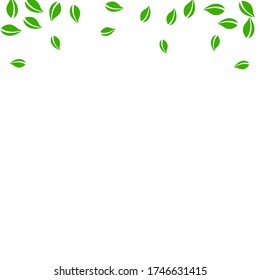 Falling green leaves. Fresh tea random leaves flying. Spring foliage dancing on white background. Alive summer overlay template. Outstanding spring sale vector illustration.