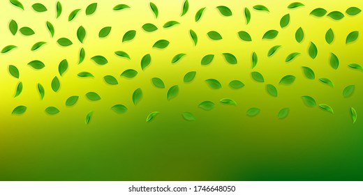 Falling green leaves. Fresh tea random leaves flying. Spring foliage dancing on white background. Appealing summer overlay template. Bewitching spring sale vector illustration.