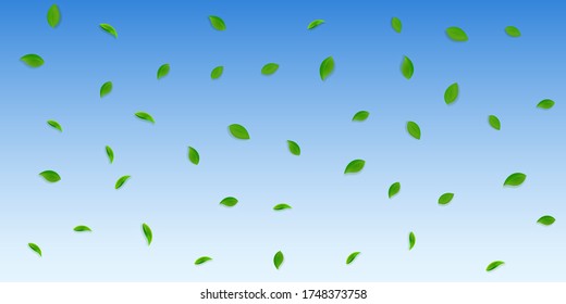 Falling green leaves. Fresh tea random leaves flying. Spring foliage dancing on blue sky background. Amazing summer overlay template. Noteworthy spring sale vector illustration.