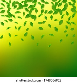 Falling green leaves. Fresh tea chaotic leaves flying. Spring foliage dancing on yellow green background. Adorable summer overlay template. Splendid spring sale vector illustration.