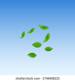 Caer hojas verdes. Salen hojas frescas y limpias volando. Follaje de primavera bailando sobre fondo azul del cielo. Plantilla de superposición de verano real. Ilustración vectorial de venta de primavera moderna.
