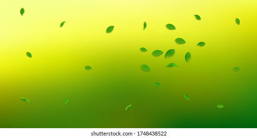 Falling green leaves. Fresh tea random leaves flying. Spring foliage dancing on white background. Amazing summer overlay template. Classic spring sale vector illustration.
