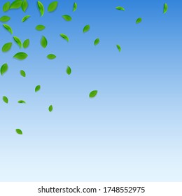 Caer hojas verdes. Saltos caóticos de té fresco volando. Follaje de primavera bailando sobre fondo azul del cielo. Plantilla de superposición de verano real. Ilustración vectorial de venta de resorte de moda.