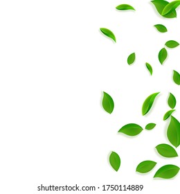 Fallende grüne Blätter. Frische Tee-Chaos-Blätter fliegen. Frühlingsblümchen tanzen auf weißem Hintergrund. Live Summer Overlay Vorlage. Großer Frühlingsverkauf, Vektorgrafik.