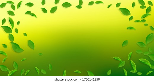 Falling green leaves. Fresh tea chaotic leaves flying. Spring foliage dancing on white background. Appealing summer overlay template. Fetching spring sale vector illustration.