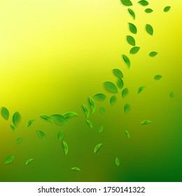 Caer hojas verdes. Saltos caóticos de té fresco volando. Follaje de primavera bailando sobre fondo verde amarillo. Plantilla de superposición de verano real. Captiva ilustración vectorial de venta de resorte.