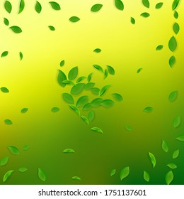 Falling green leaves. Fresh tea chaotic leaves flying. Spring foliage dancing on yellow green background. Actual summer overlay template. Lively spring sale vector illustration.