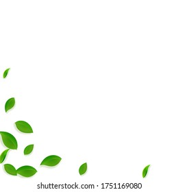 Falling green leaves. Fresh tea chaotic leaves flying. Spring foliage dancing on white background. Appealing summer overlay template. Modern spring sale vector illustration.