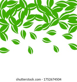 Falling green leaves. Fresh tea neat leaves flying. Spring foliage dancing on white background. Adorable summer overlay template. Alluring spring sale vector illustration.