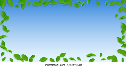 Caer hojas verdes. Saltos caóticos de té fresco volando. Follaje de primavera bailando sobre fondo azul del cielo. Divertida plantilla de superposición de verano. Óptima ilustración vectorial de venta de resorte.