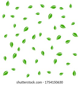 Caer hojas verdes. Saltos al azar de té fresco volando. Bailando follaje de primavera sobre fondo blanco. Admirable plantilla de superposición de verano. Agradable ilustración vectorial de venta primavera.