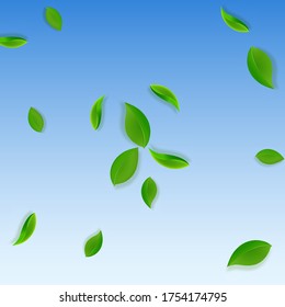 Falling green leaves. Fresh tea neat leaves flying. Spring foliage dancing on blue sky background. Actual summer overlay template. Incredible spring sale vector illustration.