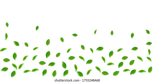 Falling green leaves. Fresh tea random leaves flying. Spring foliage dancing on yellow green background. Amusing summer overlay template. Excellent spring sale vector illustration.