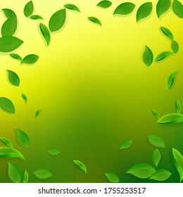 Falling green leaves. Fresh tea chaotic leaves flying. Spring foliage dancing on yellow green background. Alluring summer overlay template. Classic spring sale vector illustration.