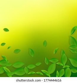 Caer hojas verdes. Saltos caóticos de té fresco volando. Follaje de primavera bailando sobre fondo verde amarillo. Admirable plantilla de superposición de verano. Eminente ilustración vectorial de venta de primavera.