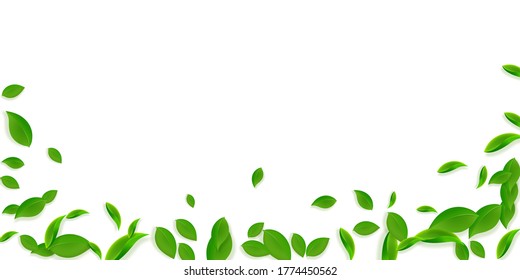 Caer hojas verdes. Saltos caóticos de té fresco volando. Follaje de primavera bailando sobre fondo verde amarillo. Increíble plantilla de superposición de verano. Ilustración vectorial de venta de resorte no igualada.