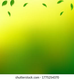 Falling green leaves. Fresh tea random leaves flying. Spring foliage dancing on yellow green background. Alive summer overlay template. Optimal spring sale vector illustration.