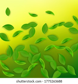 Falling green leaves. Fresh tea neat leaves flying. Spring foliage dancing on yellow green background. Adorable summer overlay template. Magnificent spring sale vector illustration.