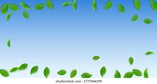 Falling green leaves. Fresh tea neat leaves flying. Spring foliage dancing on blue sky background. Appealing summer overlay template. Classic spring sale vector illustration.