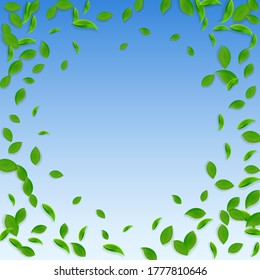 Falling green leaves. Fresh tea chaotic leaves flying. Spring foliage dancing on blue sky background. Alluring summer overlay template. Creative spring sale vector illustration.