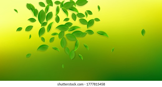 Caer hojas verdes. Saltos caóticos de té fresco volando. Bailando follaje de primavera sobre fondo blanco. Increíble plantilla de superposición de verano. Excelente ilustración vectorial de venta primaveral.