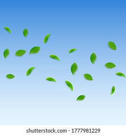 Falling green leaves. Fresh tea random leaves flying. Spring foliage dancing on blue sky background. Admirable summer overlay template. Terrific spring sale vector illustration.