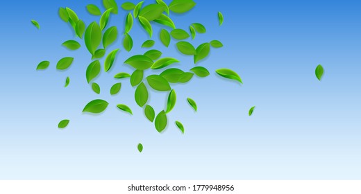 Caer hojas verdes. Saltos caóticos de té fresco volando. Follaje de primavera bailando sobre fondo azul del cielo. Increíble plantilla de superposición de verano. Ilustración vectorial de venta de resortes energéticos.