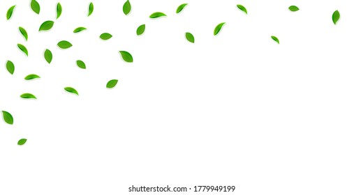 Falling green leaves. Fresh tea random leaves flying. Spring foliage dancing on yellow green background. Amazing summer overlay template. Magnificent spring sale vector illustration.