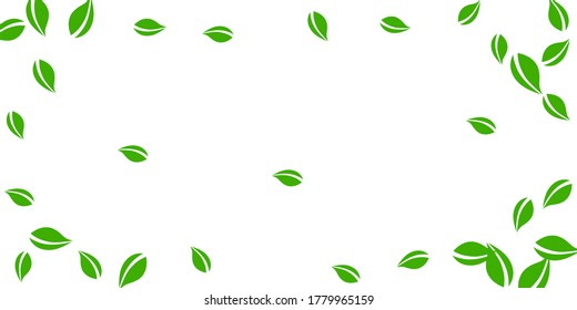 Falling green leaves. Fresh tea neat leaves flying. Spring foliage dancing on white background. Appealing summer overlay template. Fantastic spring sale vector illustration.