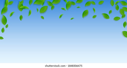 Caer hojas verdes. Saltos caóticos de té fresco volando. Follaje de primavera bailando sobre fondo azul del cielo. Divertida plantilla de superposición de verano. Ilustración vectorial de venta de resorte glamorosa.