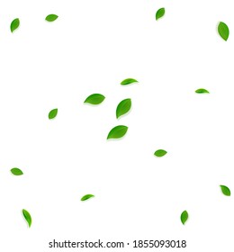 Falling green leaves. Fresh tea random leaves flying. Spring foliage dancing on white background. Actual summer overlay template. Magnetic spring sale vector illustration.