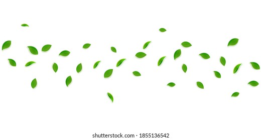 Falling green leaves. Fresh tea random leaves flying. Spring foliage dancing on yellow green background. Amusing summer overlay template. Bizarre spring sale vector illustration.