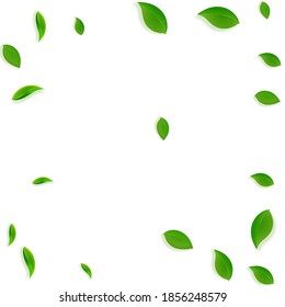 Falling green leaves. Fresh tea chaotic leaves flying. Spring foliage dancing on white background. Alluring summer overlay template. Adorable spring sale vector illustration.