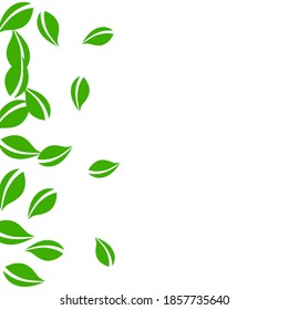Falling green leaves. Fresh tea neat leaves flying. Spring foliage dancing on white background. Alive summer overlay template. Good-looking spring sale vector illustration.