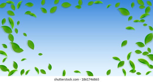Falling green leaves. Fresh tea chaotic leaves flying. Spring foliage dancing on blue sky background. Appealing summer overlay template. Favorable spring sale vector illustration.
