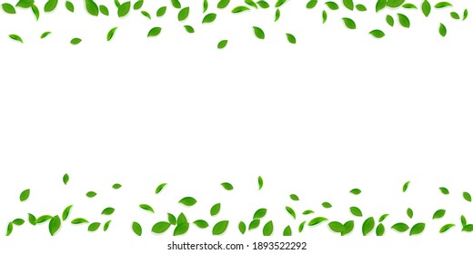 Caer hojas verdes. Saltos caóticos de té fresco volando. Follaje de primavera bailando sobre fondo verde amarillo. Plantilla de superposición de verano atractiva. Ilustración vectorial de venta de resorte perfecta.