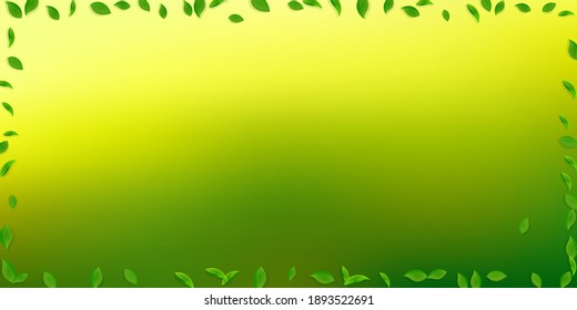 Falling green leaves. Fresh tea chaotic leaves flying. Spring foliage dancing on white background. Amusing summer overlay template. Rare spring sale vector illustration.