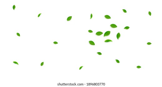 Falling green leaves. Fresh tea random leaves flying. Spring foliage dancing on yellow green background. Amazing summer overlay template. Classy spring sale vector illustration.