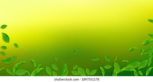 Falling green leaves. Fresh tea chaotic leaves flying. Spring foliage dancing on white background. Amazing summer overlay template. Uncommon spring sale vector illustration.