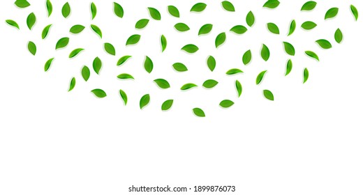 Falling green leaves. Fresh tea random leaves flying. Spring foliage dancing on yellow green background. Appealing summer overlay template. Marvelous spring sale vector illustration.