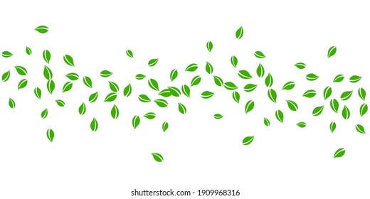 Falling green leaves. Fresh tea chaotic leaves flying. Spring foliage dancing on yellow green background. Alluring summer overlay template. Amusing spring sale vector illustration.