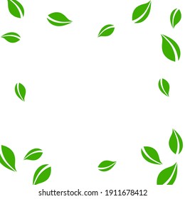 Falling green leaves. Fresh tea neat leaves flying. Spring foliage dancing on blue sky background. Adorable summer overlay template. Trending spring sale vector illustration.