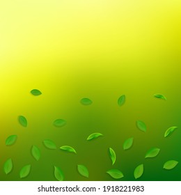 Falling green leaves. Fresh tea random leaves flying. Spring foliage dancing on yellow green background. Adorable summer overlay template. Juicy spring sale vector illustration.