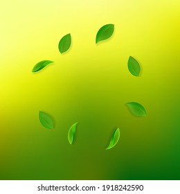 Falling green leaves. Fresh tea neat leaves flying. Spring foliage dancing on yellow green background. Adorable summer overlay template. Elegant spring sale vector illustration.