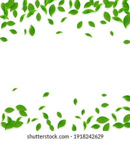 Falling green leaves. Fresh tea chaotic leaves flying. Spring foliage dancing on white background. Admirable summer overlay template. Fresh spring sale vector illustration.