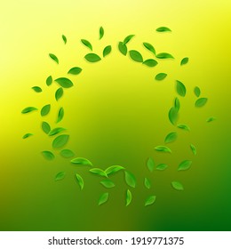 Caer hojas verdes. Saltos caóticos de té fresco volando. Follaje de primavera bailando sobre fondo verde amarillo. Plantilla de superposición de verano atractiva. Magnífica ilustración vectorial de venta de resorte.