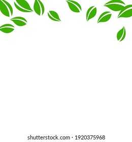 Falling green leaves. Fresh tea neat leaves flying. Spring foliage dancing on white background. Alive summer overlay template. Original spring sale vector illustration.