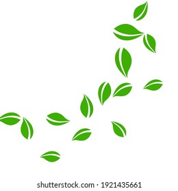 Falling green leaves. Fresh tea neat leaves flying. Spring foliage dancing on white background. Actual summer overlay template. Charming spring sale vector illustration.