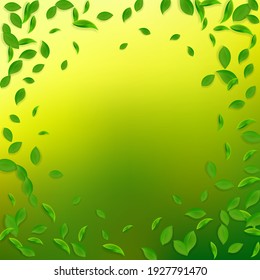 Falling green leaves. Fresh tea chaotic leaves flying. Spring foliage dancing on yellow green background. Alluring summer overlay template. Cute spring sale vector illustration.