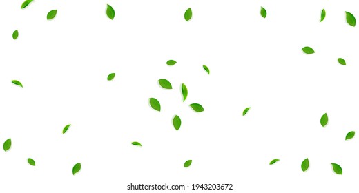 Falling green leaves. Fresh tea random leaves flying. Spring foliage dancing on yellow green background. Amazing summer overlay template. Ideal spring sale vector illustration.